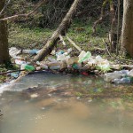 Poluare si gunoi in rezervatia Parcului Natural Portile de Fier