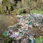 Poluare si gunoi in rezervatia Parcului Natural Portile de Fier