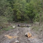 Defrisari parc national Domogled Valea Cernei