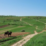 Agricultură tradiţională la Gârnic